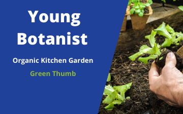 Join Young Botanist Certification Program in Organic Kitchen Gardening